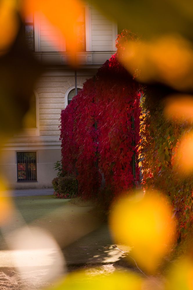 Photograph by Ирина Мошковская