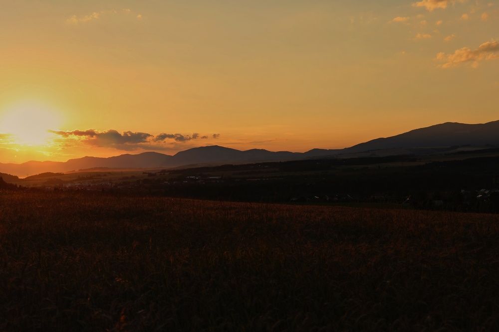 Photograph by Magdalena Kolenicova