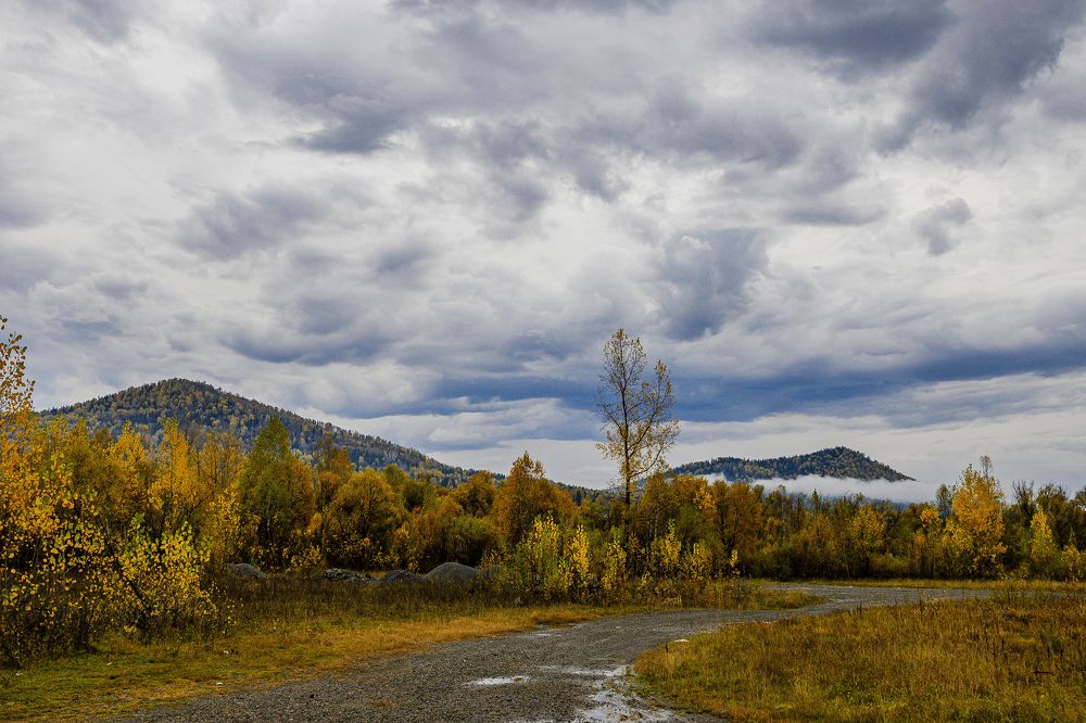 Photograph by Юлия Силина