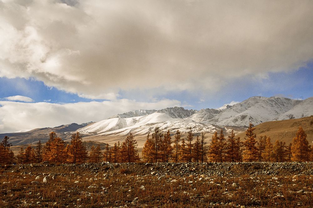 Photograph by Юлия Силина