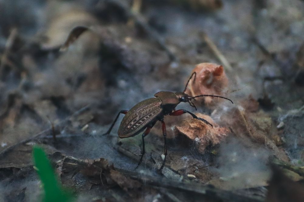 Photograph by Николай Стрельников