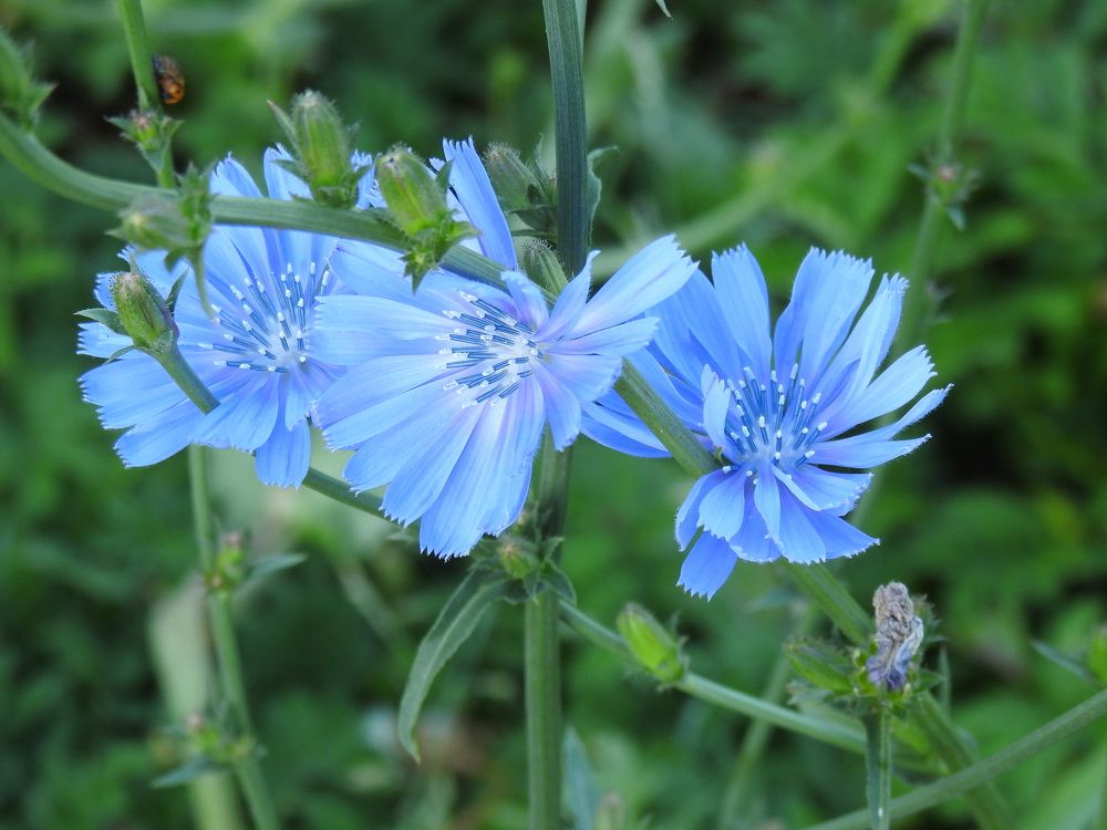 Photograph by Георгий Салюков