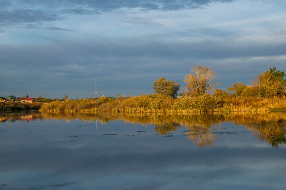 Фотография автора Светлана Бобошина