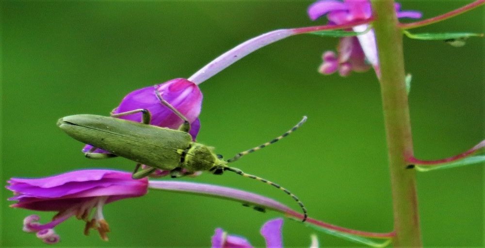 Photograph by Людмила Кононова