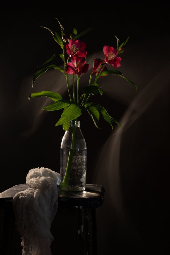 Photograph by Жанна