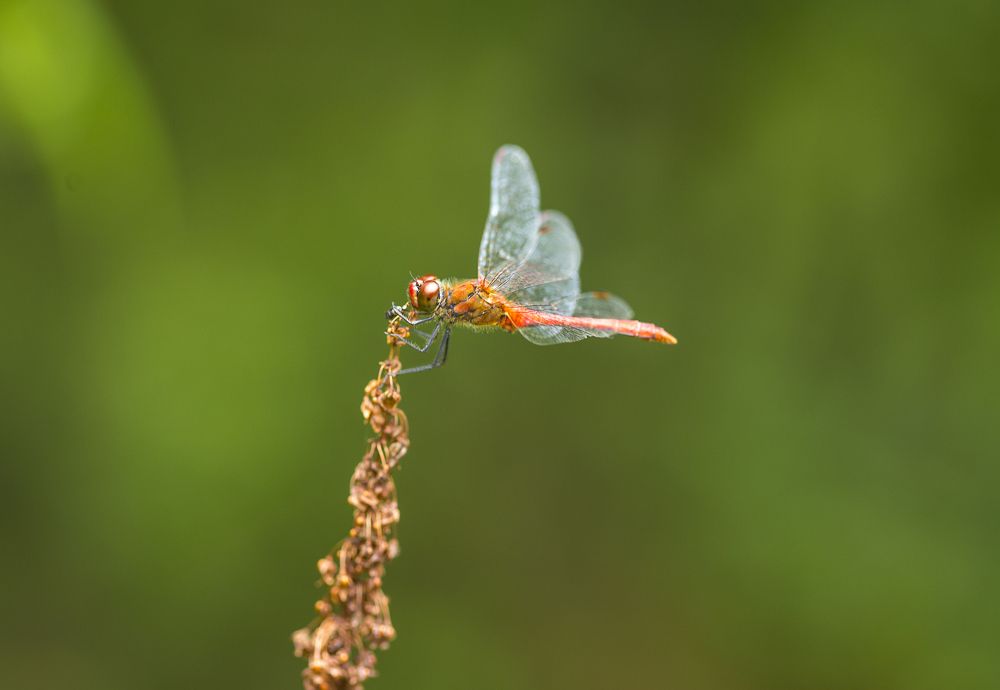 Photograph by Tatiana Kravchuk