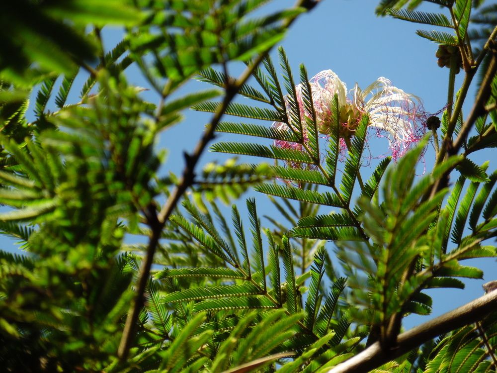 Photograph by Mario Alfonso Gudiño Dávila