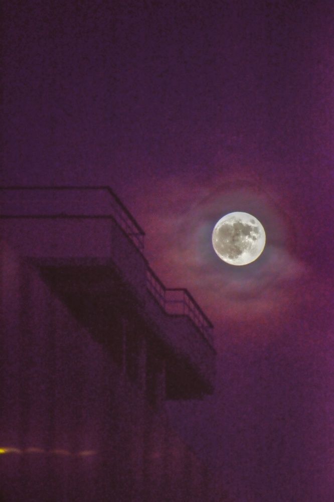 Photograph by SIMONE CIULLI