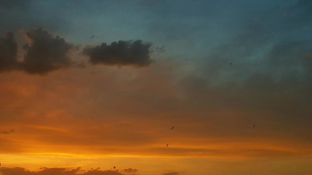 Photograph by Mohammad Mahdi Khojasteh