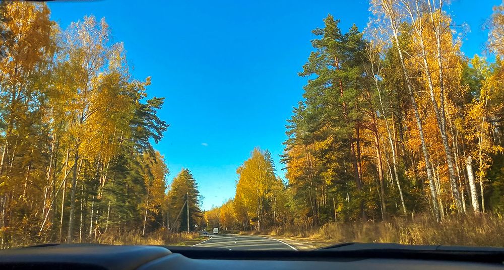 Photograph by Елена Заметалова