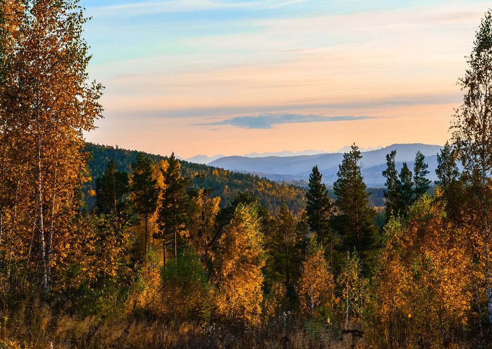 Photograph by Елена Коновалова