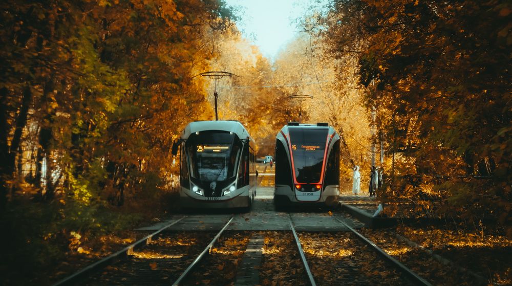 Photograph by Павел Быков