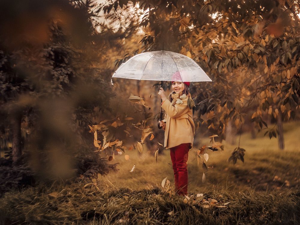 Photograph by Rogozina Olga