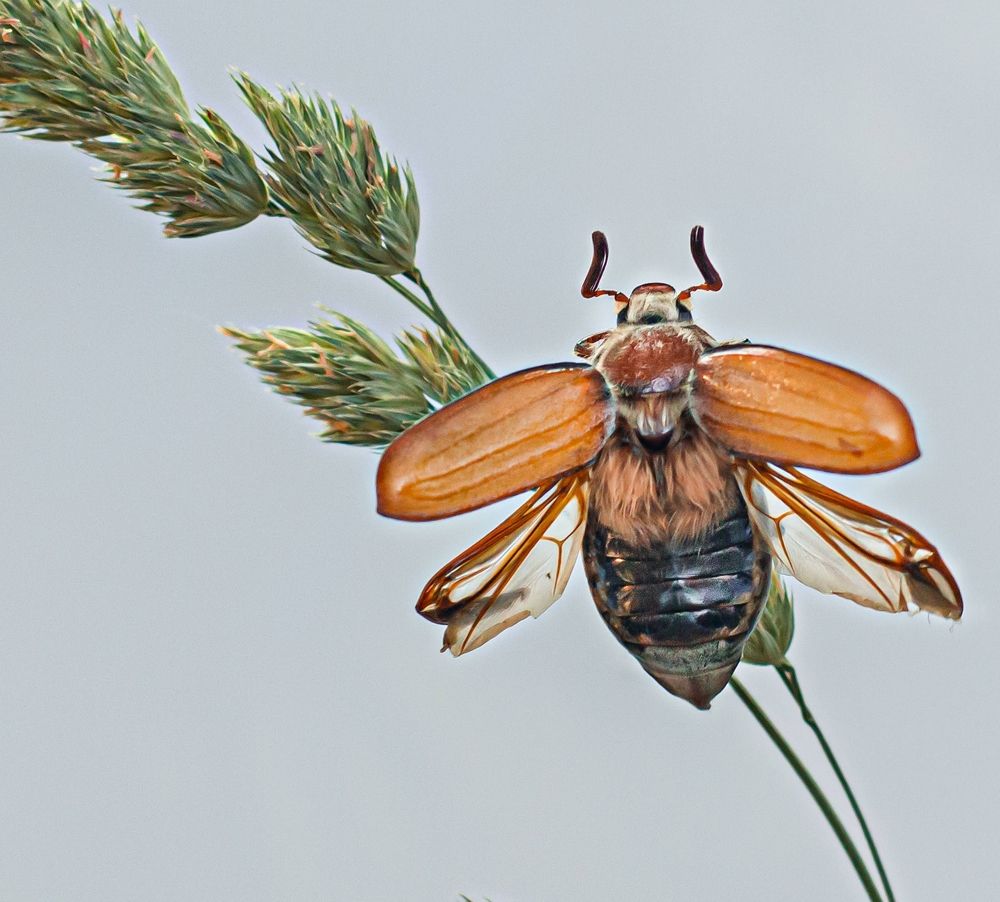 Photograph by Наталья Митрофанова