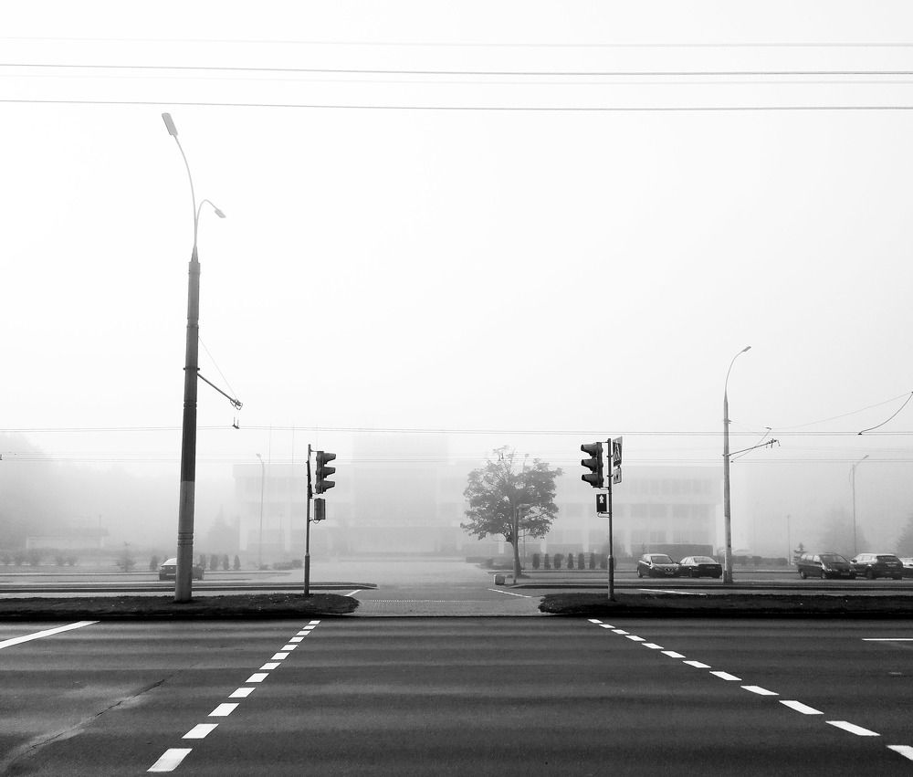 Photograph by Ирина Половцева