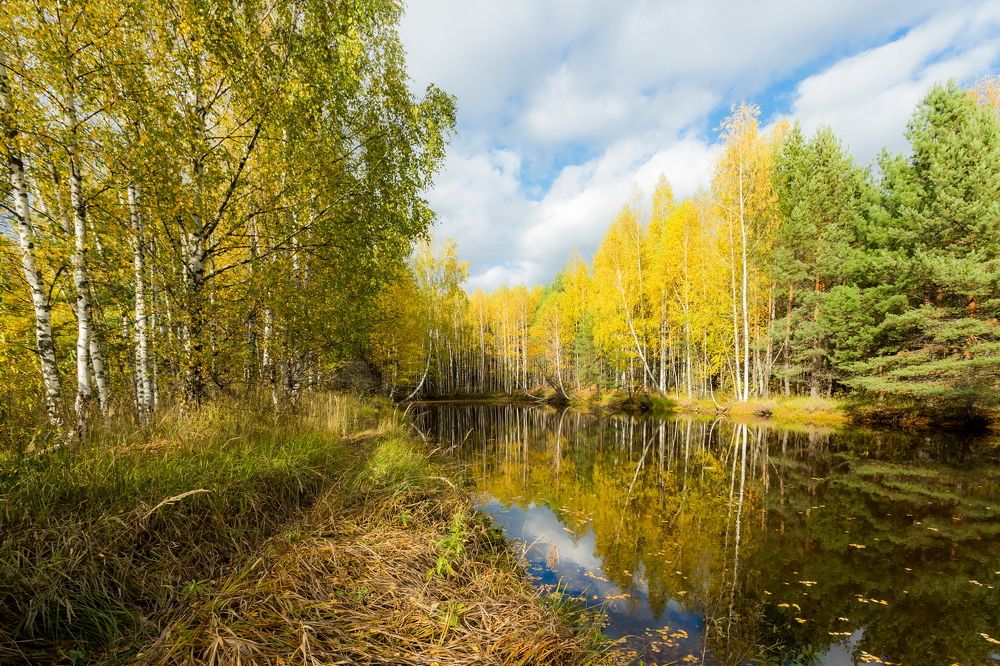 Photograph by Юрий Морозов