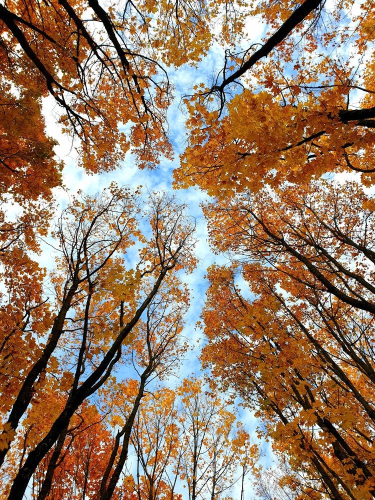 Photograph by Наталья Пагоцкая