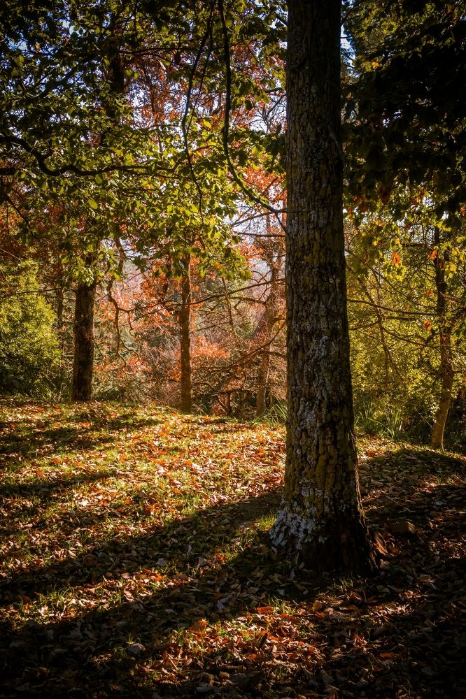 Photograph by sadouni zaki