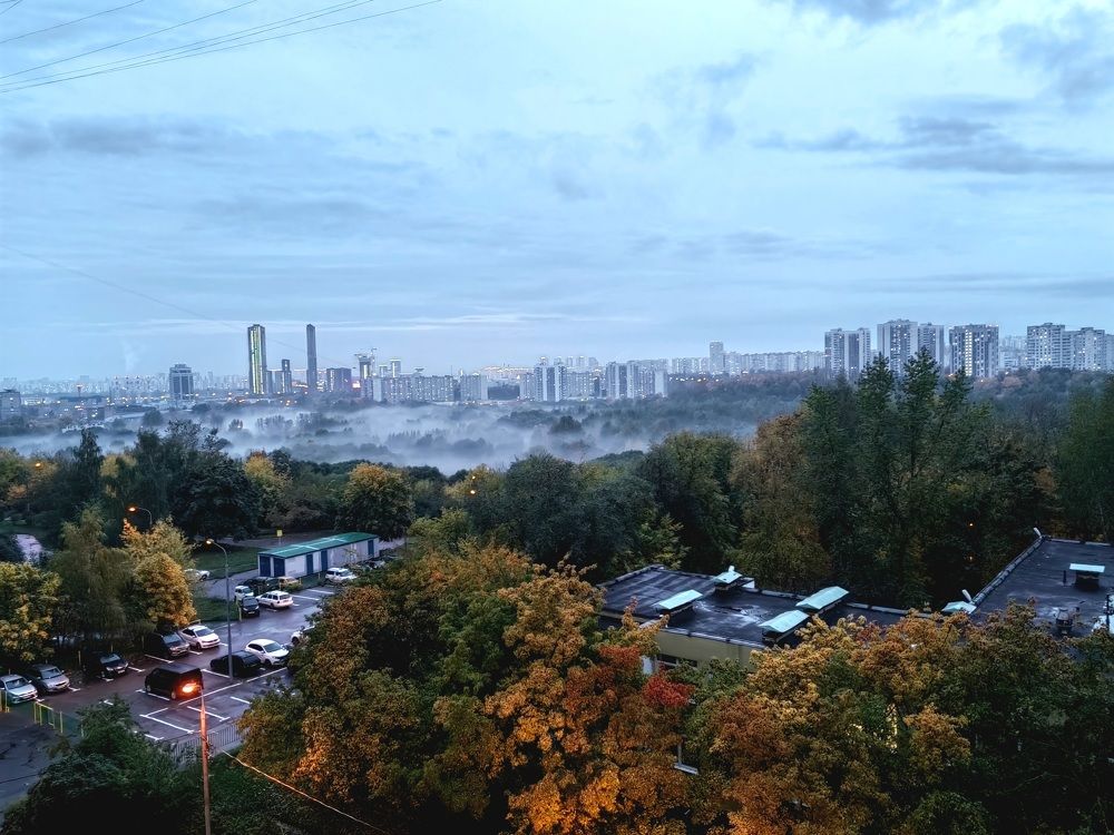 Photo #8168049