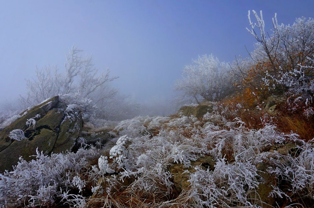 Photograph by Вадим Юрьевич