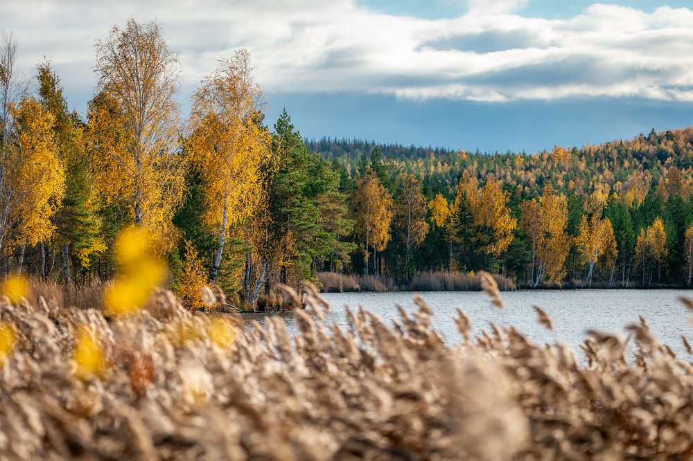 Photograph by Алексей Егорычев