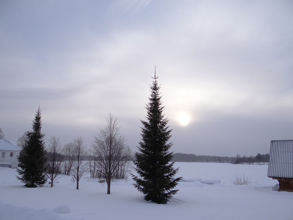 Photograph by Александр Егоров