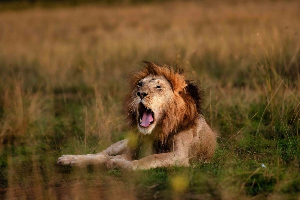 Photograph by Zubair Irshad