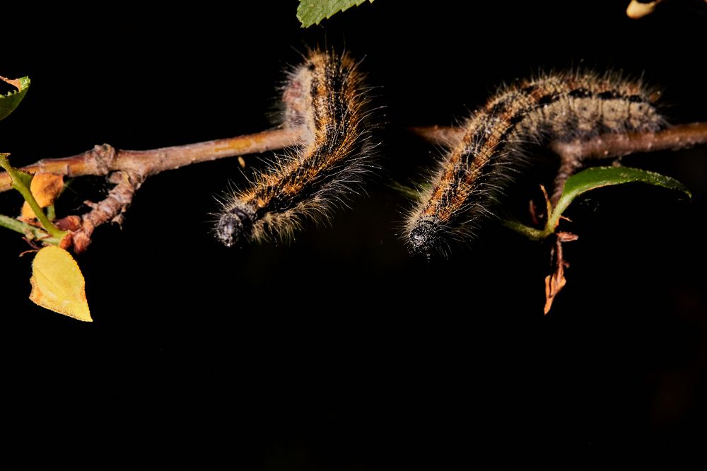 Фотография автора Игорь Игоревич