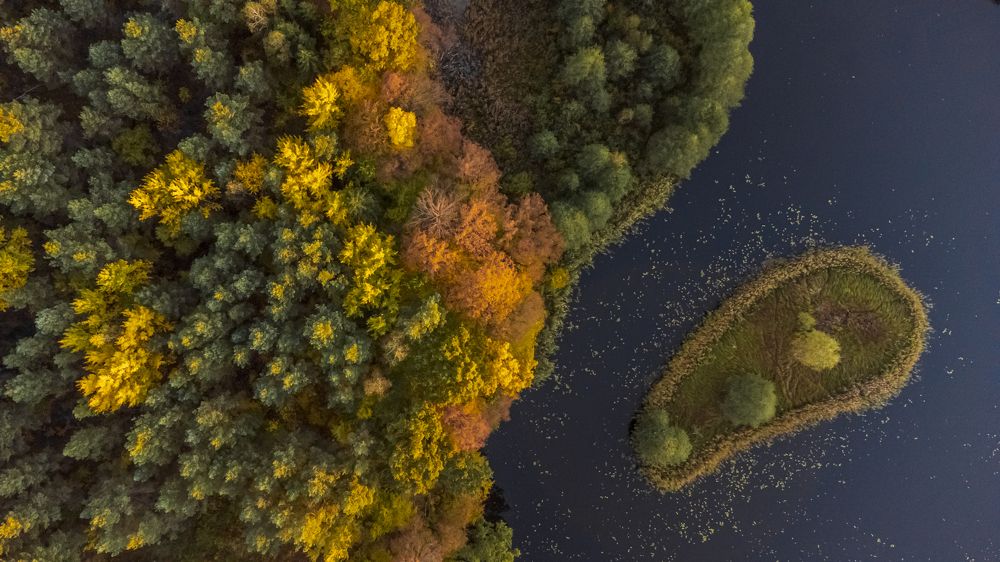 Photograph by Артём Амельянчик