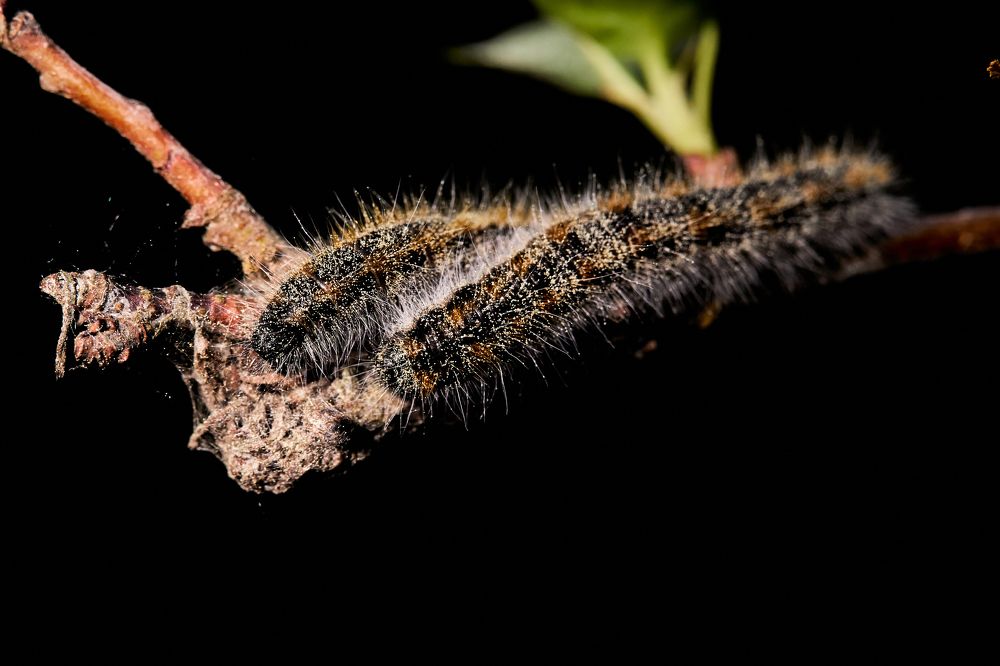 Фотография автора Игорь Игоревич