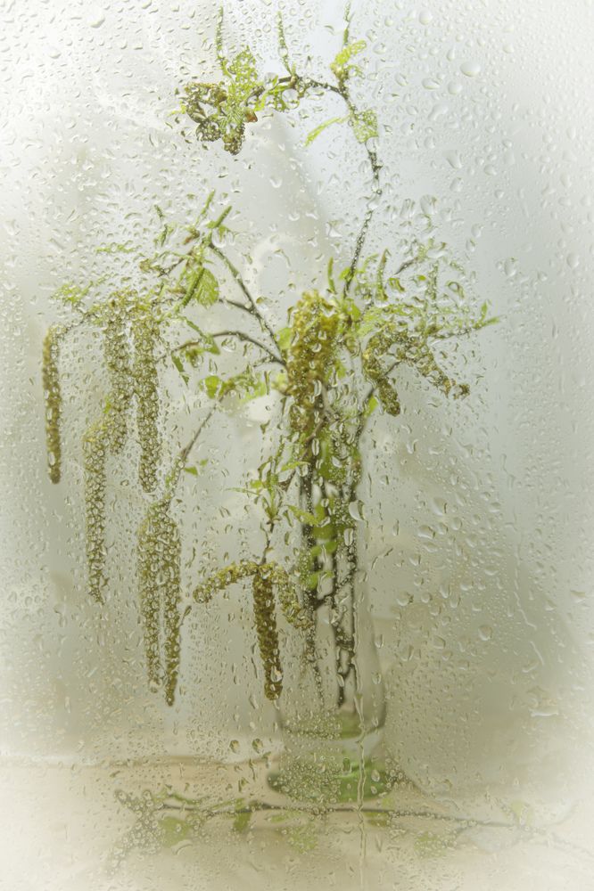 Photograph by Анна Васильева