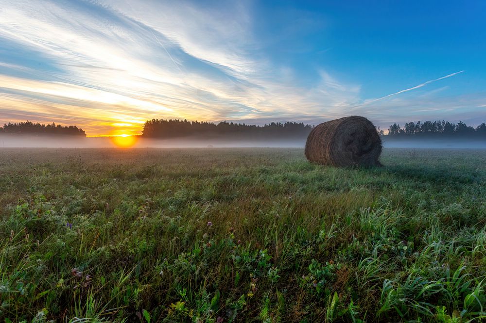 Photograph by Алексей Егорычев