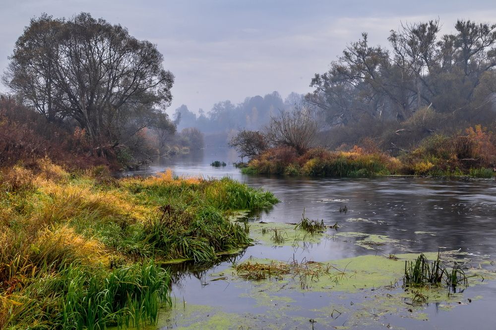 Photograph by Юрий Морозов