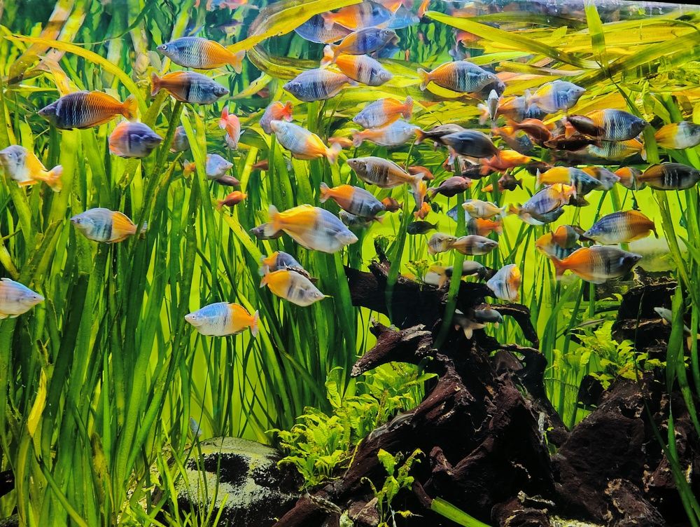 Photograph by Анастасия Сапронова