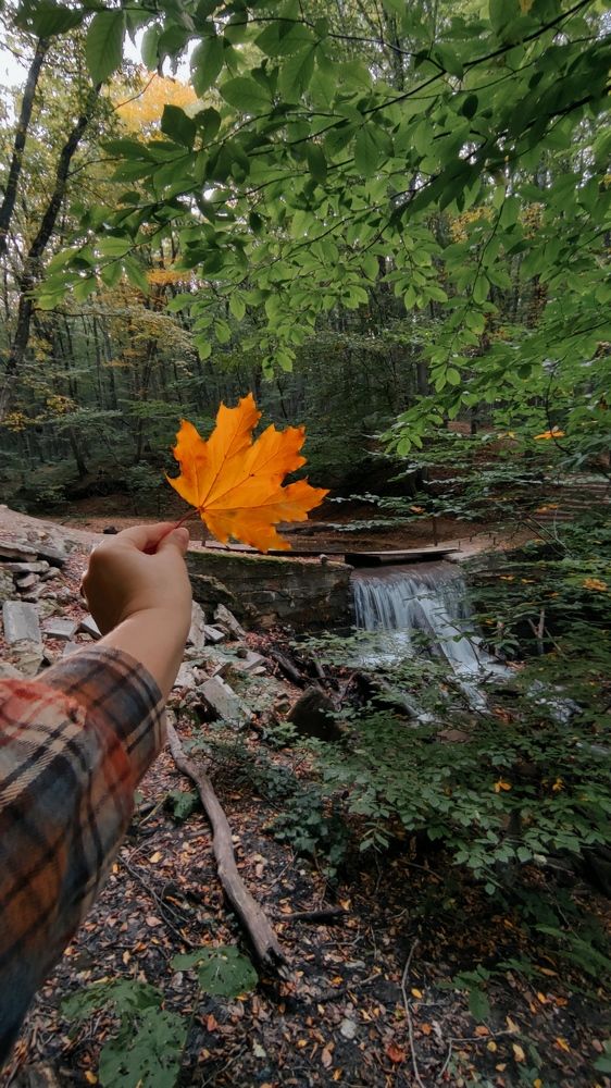 Photograph by Ирина Подосинникова