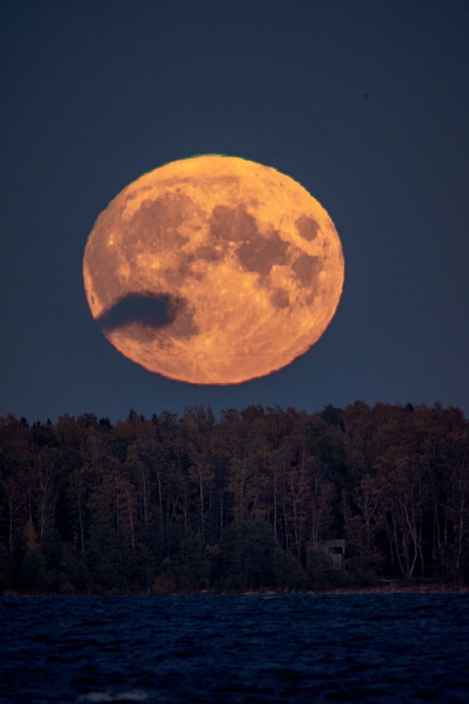 Photograph by Алексей Корсаков