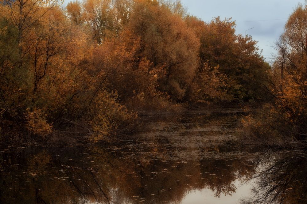 Photograph by Евгения Баширова