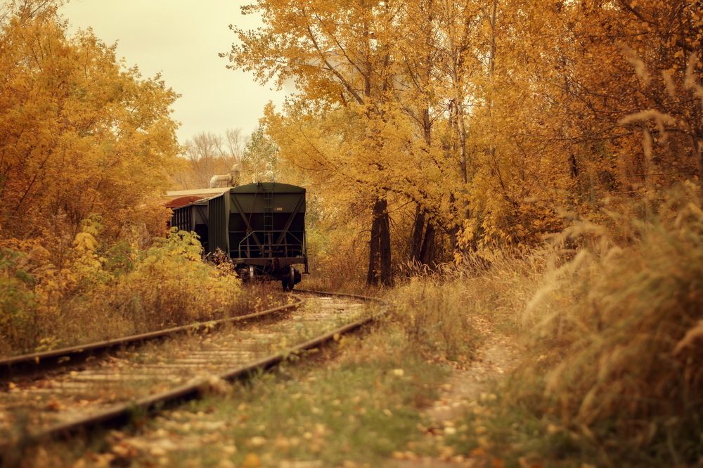 Photograph by Евгения Баширова