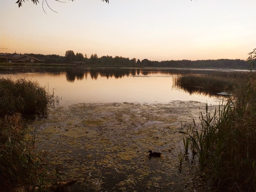 Photograph by Людмила Муравьева