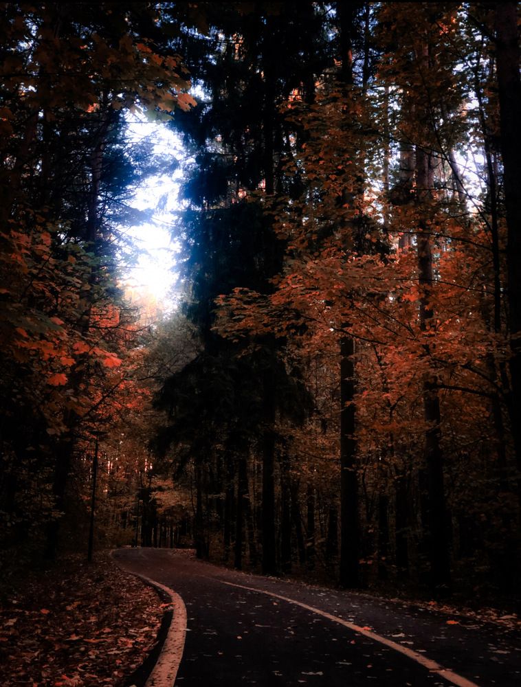 Photograph by Степан Тихон