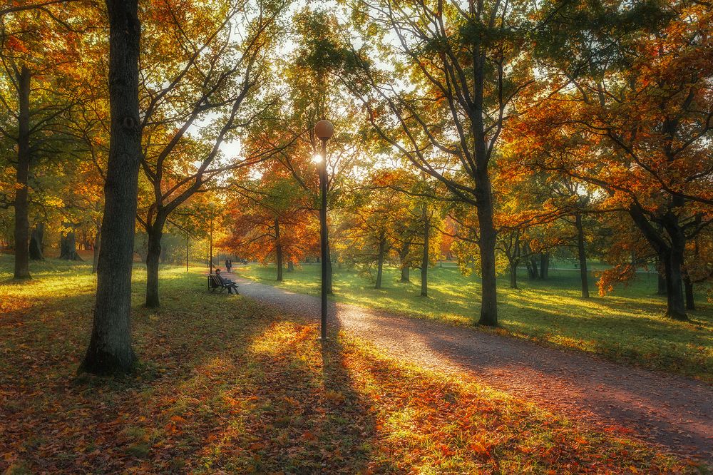 Photograph by Aare Treiel