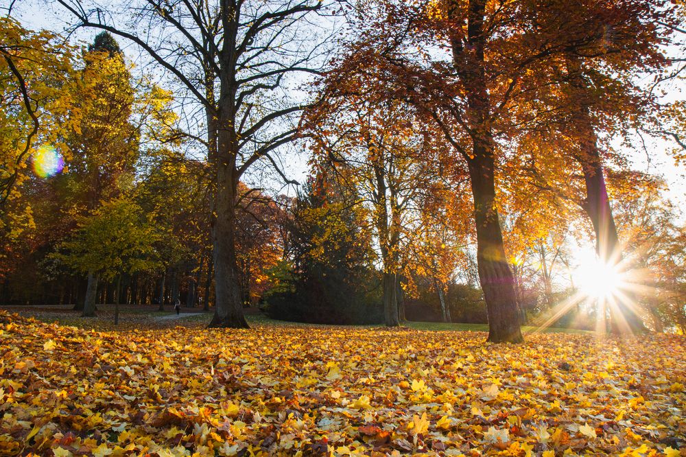 Photograph by Iuliia Kuznetcova