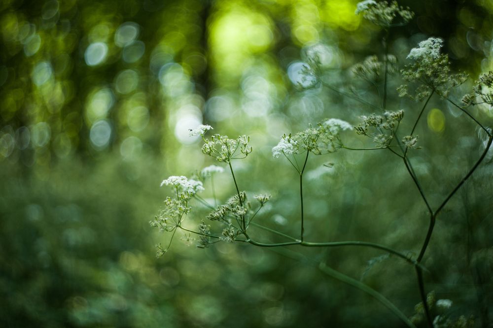 Photograph by Андрей Хозяев