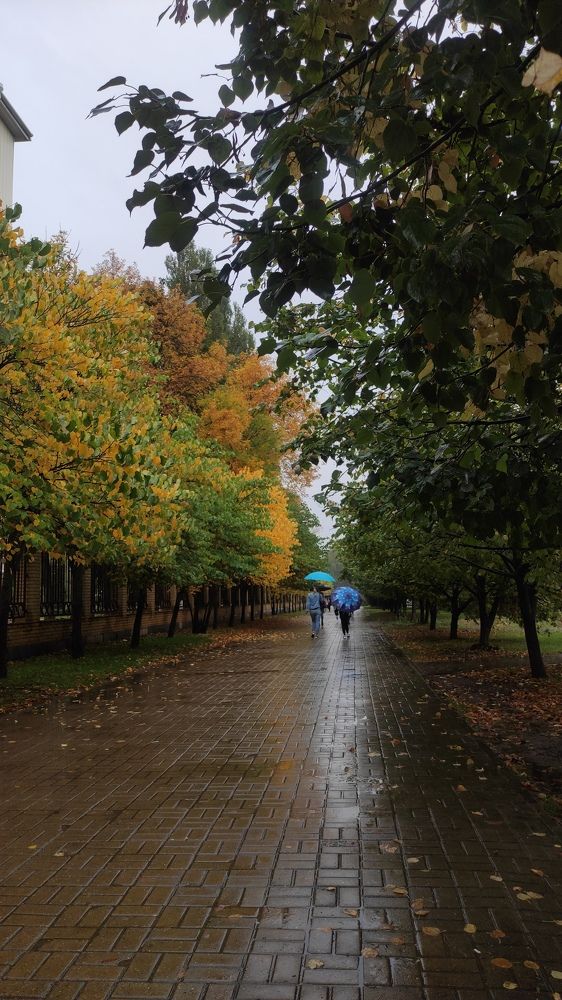 Photograph by Ирина Подосинникова