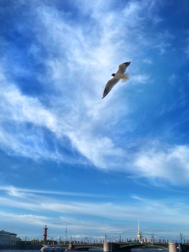 Photograph by Иованна Решетова