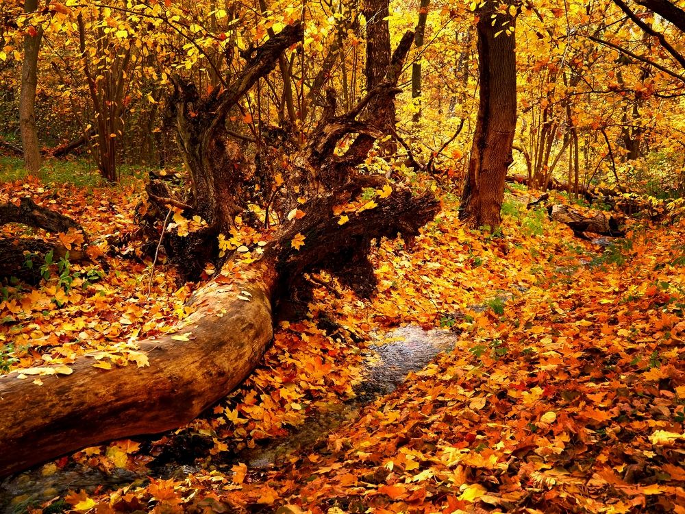 Photograph by Андрей Михайлин