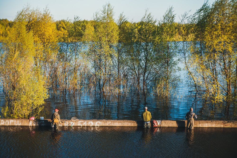 Photograph by Андрей Хозяев
