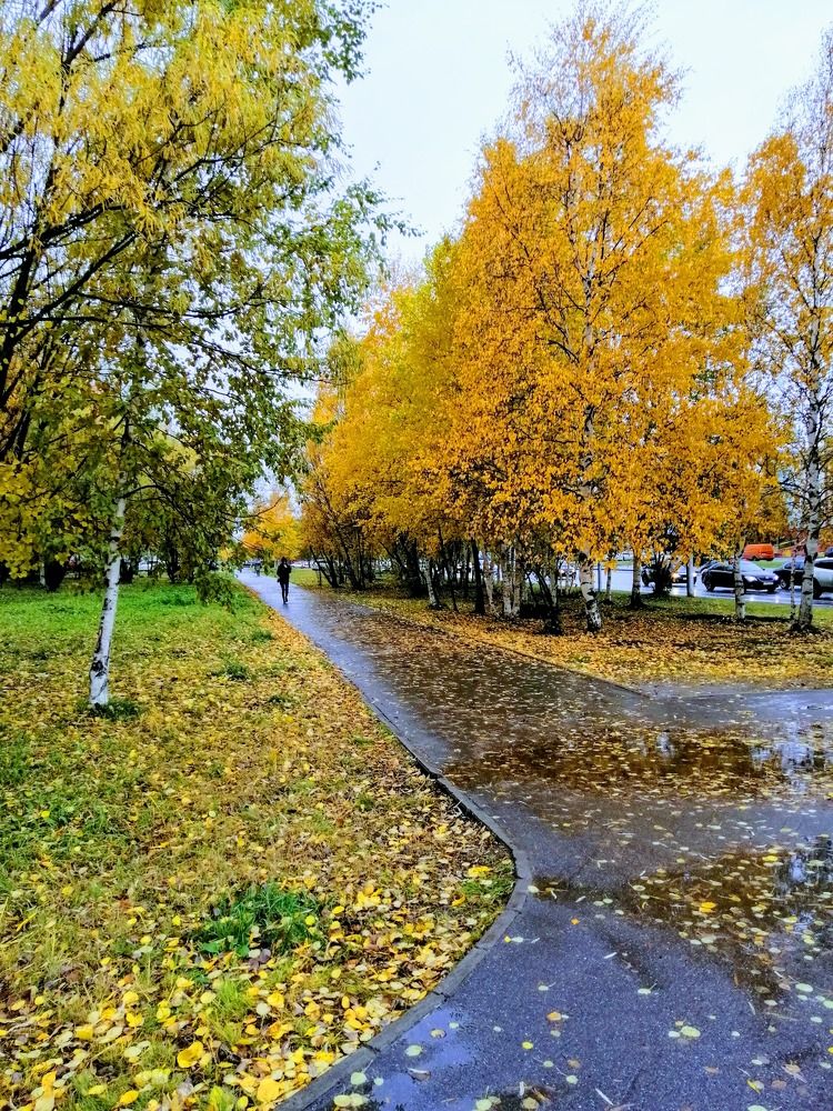 Photograph by Татьяна