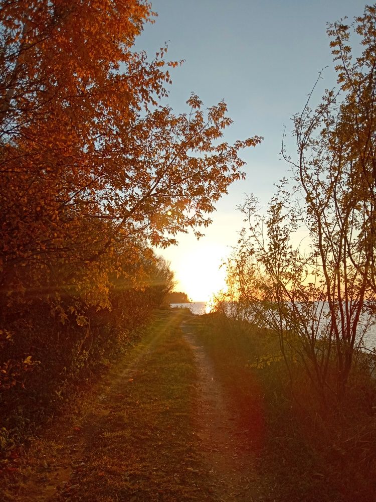 Photograph by Снежана Шепель