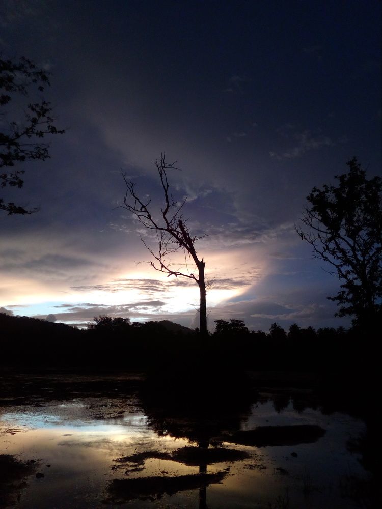 Photograph by Sanjeewani Rathnayka